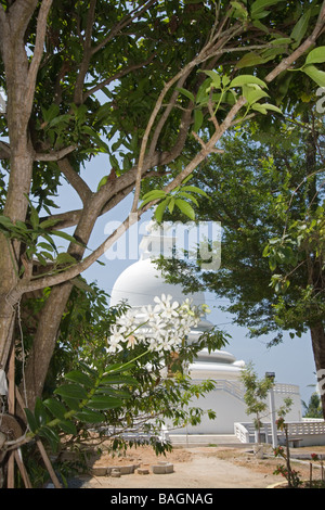 Sicht der Japaner gebaut buddhistischen Tempel Peace Pagoda am Roomasala-Hügel mit Blick auf den Hafen von Galle. Stockfoto