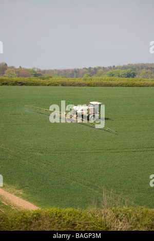 Sprayer In Winterweizen Stockfoto