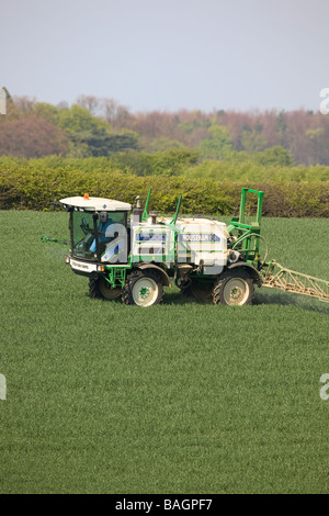 Sprayer In Winterweizen Stockfoto