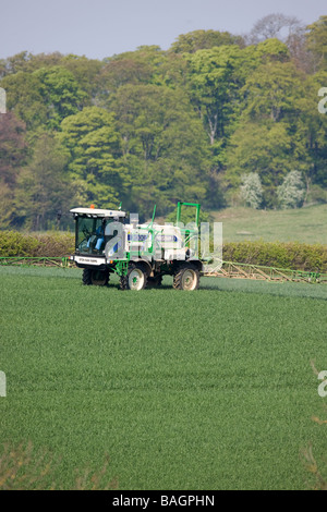 Sprayer In Winterweizen Stockfoto