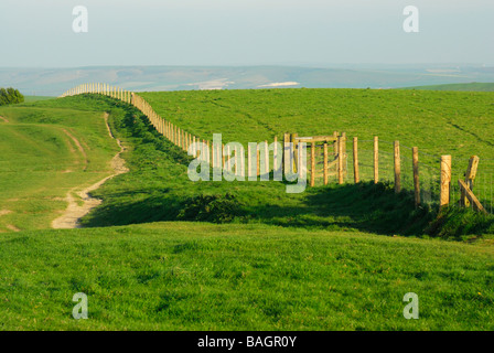 Öffentlichen Wanderweg in der Nähe von Ditchling Beacon South downs West Sussex England UK Stockfoto