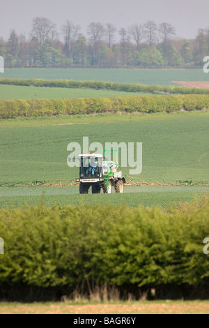 Sprayer In Winterweizen Stockfoto