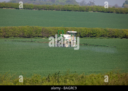 Sprayer In Winterweizen Stockfoto