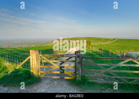 Öffentlichen Wanderweg in der Nähe der Ditchling Leuchtfeuer in den South Downs England UK Stockfoto