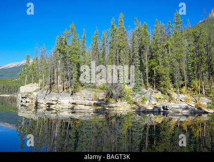 Kanada, Alberta, Jasper Nationalpark, Horseshoe Lake Stockfoto