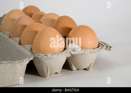 Ein Dutzend braune Hühnereiern von freilaufenden Hühnern Weide Hühner in einem Karton Stockfoto