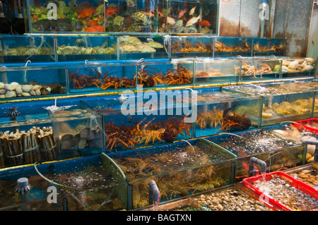 "Live-Menü" in einem der Fischrestaurants Mai in Sai Kung, Hong Kong Stockfoto