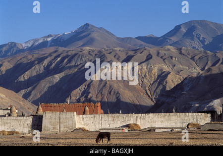 Nepal, Dhawalagiri Zone, Mustang District (ehemalige Königreich Lo), von Mauern umgebene Stadt Lo Mantang Stockfoto