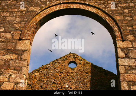 Drei Dohlen Süden Wheal Francis mine Cornwall UK Stockfoto