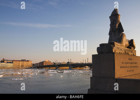 Russland Sankt Petersburg ägyptische Sphinx am Ufer der Newa Frühlingsabend Stockfoto