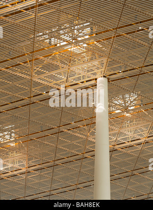 Flughafen Peking, Beijing, China, Foster and Partners, Beijing Hauptstadt Flughafen fördern und Stockfoto