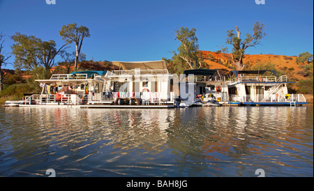 Haus Boote Hausboote vertäut am Ufer des Murray River in Richtung Klippe im Riverland von South Australia Stockfoto