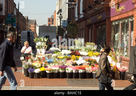 Blumenverkäuferin verkaufen Schnittblumen am Straßenstand, Grafton Street, Dublin, Irland Stockfoto