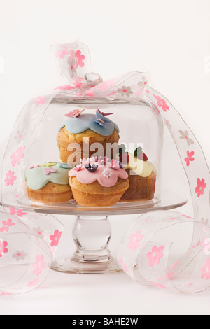 Cupcake Fairy Cake in feed Anzeige gegen den weißen Hintergrund Stockfoto