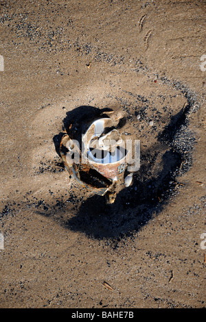 WEGGEWORFEN, KÖNNEN GETRÄNKE IN SAND AM STRAND UK Stockfoto