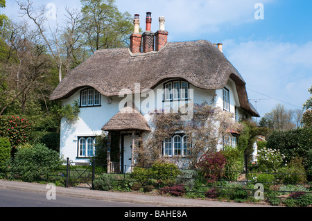 Bienenstock Cottage im Swan grün Lyndhurst in der New Forest Nationalpark Hampshire England Stockfoto
