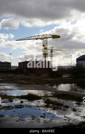 Die stillgelegten Krane bei Harland und Wolfe Werft, Belfast, Nordirland Stockfoto