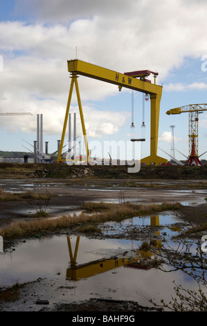 Die stillgelegten Krane bei Harland und Wolfe Werft, Belfast, Nordirland Stockfoto