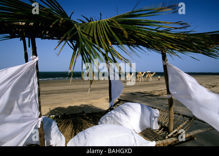 Che Shale, Malindi, Kenia, Afrika Stockfoto