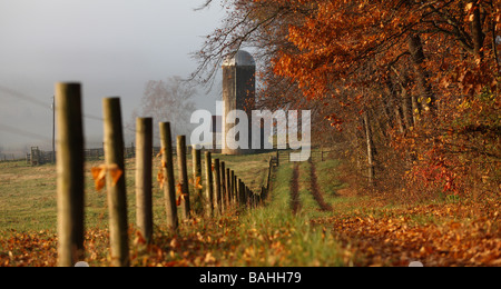 Ländliche Wege führen zu lokalen Ackerland im Albemarle County Stockfoto