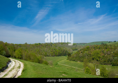 Wicklung chalk Weg entlang des South Downs Way in der Nähe von Arundel, Sussex, UK Stockfoto