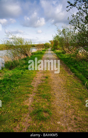beliebter Weg für Wanderer in The Lee Valley,Co.Cork, Irland Stockfoto