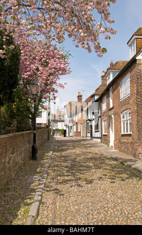 Eine gepflasterte Straße in Rye, East Sussex, England Stockfoto