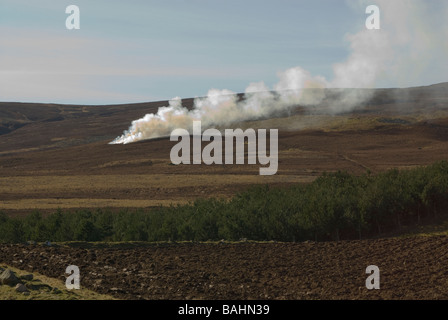 Clearing-Heather in den Highlands von Schottland Stockfoto