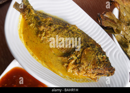 Maacher Jhol ist ein traditioneller Bengali Fisch-curry Stockfoto