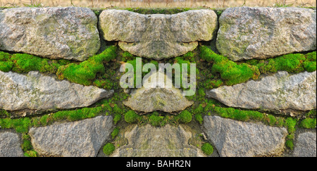 Steinmauer immer grünes Moos für Hintergrund Stockfoto