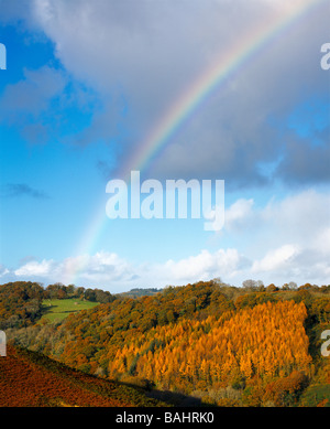 Regenbogen über Trendlebere Down im Dartmoor National Park in der Nähe von Manaton und Lustleigh, Devon, England Stockfoto