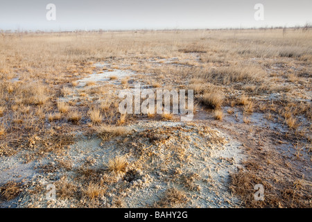 Das Bett eines einst blühenden Sees im Jahr 1999 von Klima Wandel induzierte Trockenheit in der Nähe von Dongsheng, Nordchina getrocknet Stockfoto