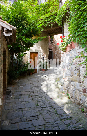 Kühlen Schatten in der Pflanze ausgekleidet & angenehm ruhigen Gassen von Montefioralle, Chianti, Toskana, Italien Stockfoto