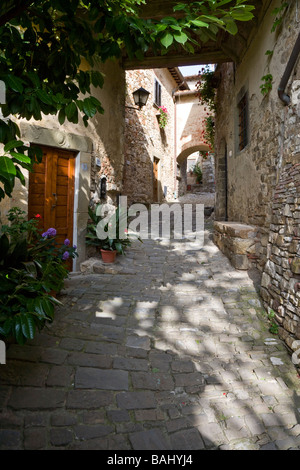 Kühlen Schatten in der Pflanze ausgekleidet & angenehm ruhigen Gassen von Montefioralle, Chianti, Toskana, Italien Stockfoto