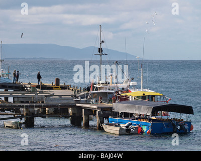 KLEINEN HAFEN UND LANDUNGSBRÜCKEN BICHENO TASMANIEN-AUSTRALIEN Stockfoto