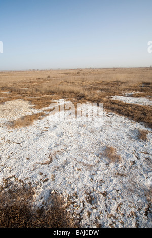 Ein Seegrund ausgetrocknet durch Klima Wandel induzierte Trockenheit in der Inneren Mongolei, China Stockfoto