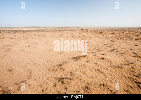 Das Bett eines einst blühenden Sees im Jahr 1999 von Klima Wandel induzierte Trockenheit in der Nähe von Dongsheng, Nordchina getrocknet Stockfoto