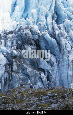 Franz-Josef-Gletscher auf der Nordinsel Neuseelands Stockfoto