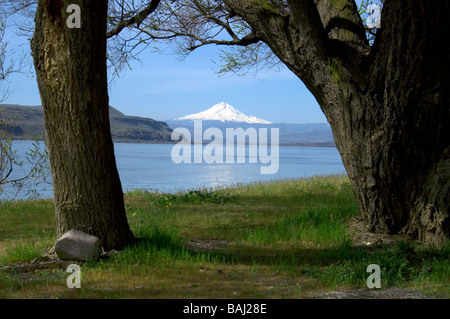 Die Columbia-Schlucht und den Fluss mit Mount Hood in der Ferne mit Fischer Stockfoto