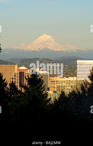 Das Wahrzeichen von Mt. Hood und Portland Oregon von einem Hügel im Westen gesehen Stockfoto