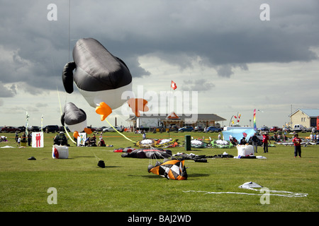 Ein Pinguin förmigen Kite am Portsmouth Kite Festival im August 2009. Stockfoto