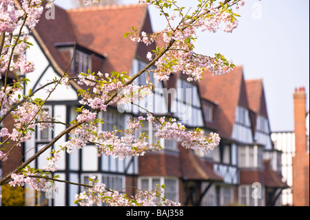 Hotel Ealing W5 London Vereinigtes Königreich Stockfoto