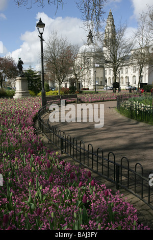 Stadt von Cardiff, Südwales. Tulpe-Bett in voller Blüte in Gorsedd Gärten, Cathays Park, mit Cardiff Rathaus im Hintergrund. Stockfoto