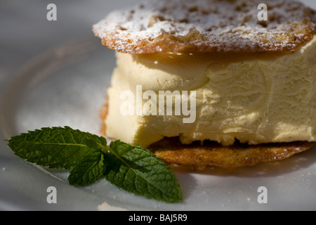 Hausgemachte Cookies und Vanille Icecream sandwich Stockfoto