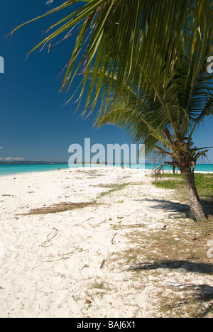 Palme auf einem Sandstrand vor der kleinen Insel im Meer in der Nähe von Nosy Iranja-Madagaskar-Afrika Stockfoto