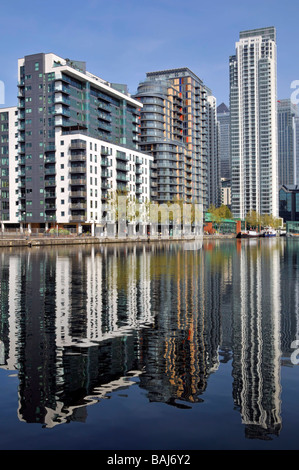 East London Docklands Waterside Gehäuse in Hochhauswohnungen Entwicklung Wasserspiegelungen in Millwall Docks Isle of Dogs Tower Weiler Großbritannien Stockfoto