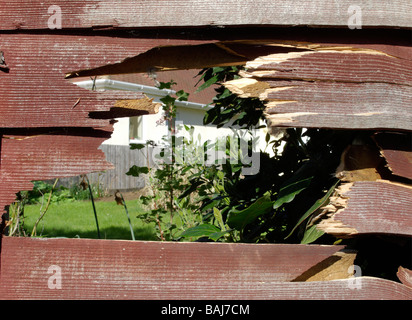 Loch im Holzzaun 1 - Radley Dorf Coitswolds England Stockfoto