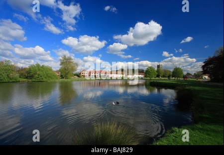 Der Ententeich am großen Massingham in Norfolk. Stockfoto