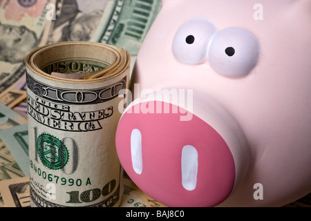 Rosa Sparschwein auf dem Teppich des Amerikanischen Dollar Wechsel der verschiedenen Konfessionen und mit 100 Dollar Bill neben Stockfoto