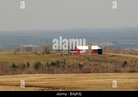 Ein Bauernhof mit roten Scheune und Kühe weiden auf Schlepper Plateau Hügel außerhalb der Lowville im oberen Staat New York. Stockfoto